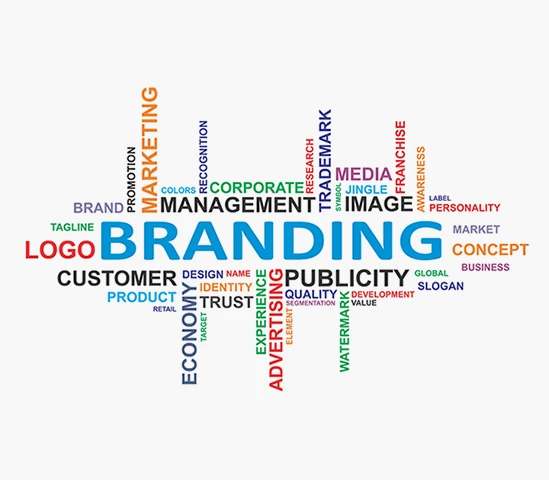 Professional branding design services by Covai Infotech